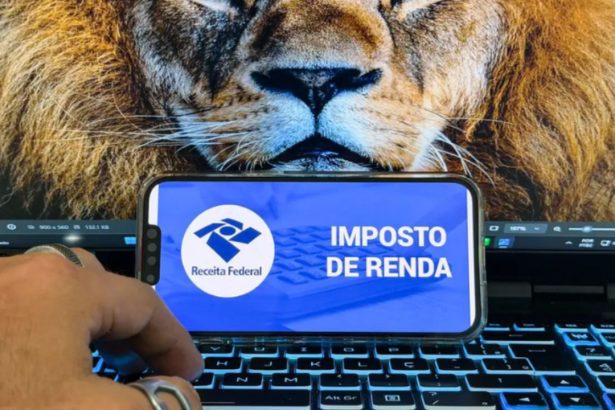 Receita Federal libera consulta ao lote de restituição da malha fina de março