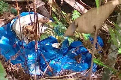 Ossada humana é localizada em área de mata às margens da AM-010