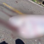 Homem é morto a tiros em rua do município de Coari