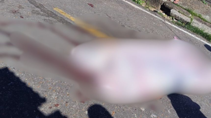 Homem é morto a tiros em rua do município de Coari