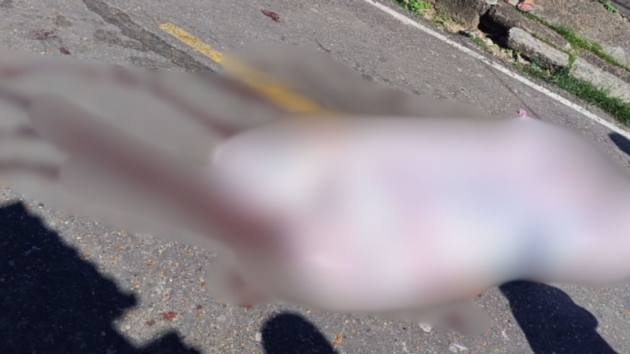 Homem é morto a tiros em rua do município de Coari