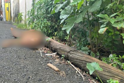 Homem é encontrado morto a pauladas no bairro Coroado