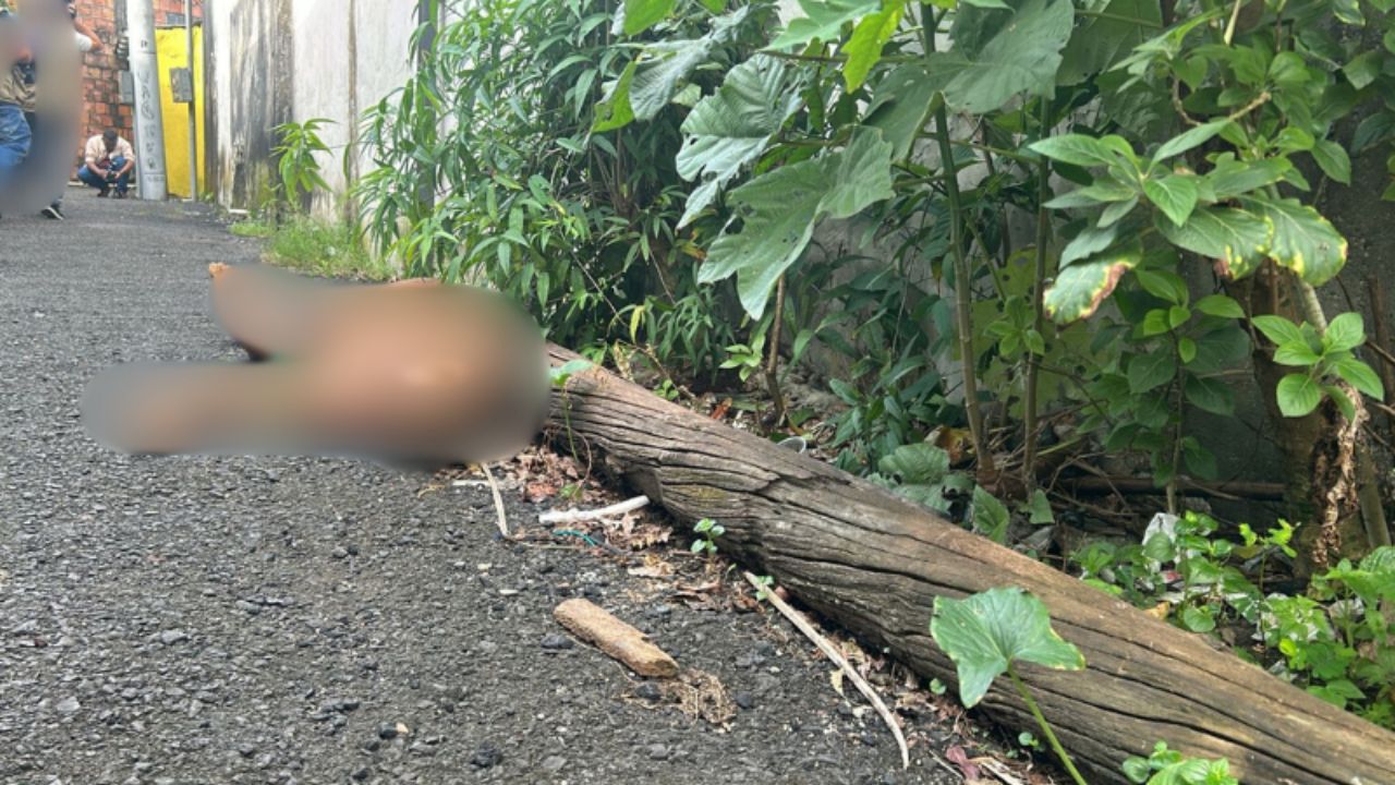Homem é encontrado morto a pauladas no bairro Coroado