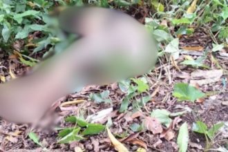 Corpo de jovem é encontrado em área de mata no bairro Planalto