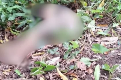 Corpo de jovem é encontrado em área de mata no bairro Planalto