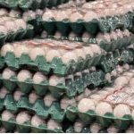 Tensão entre Estados Unidos e Irã pode pressionar preços de ovos e carnes no Brasil