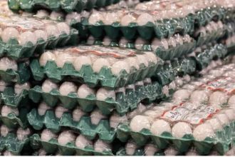 Tensão entre Estados Unidos e Irã pode pressionar preços de ovos e carnes no Brasil