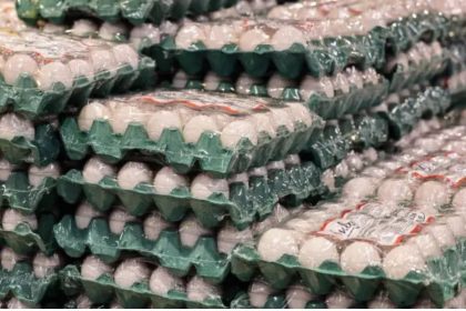 Tensão entre Estados Unidos e Irã pode pressionar preços de ovos e carnes no Brasil