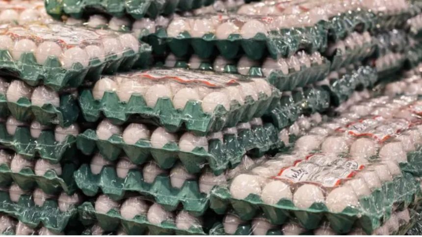 Tensão entre Estados Unidos e Irã pode pressionar preços de ovos e carnes no Brasil