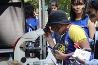 Bosque da Ciência do Inpa celebra 31 anos com exposições, oficinas e jogos