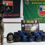 Polícia apreende 26 kg de cocaína em embarcação no Amazonas