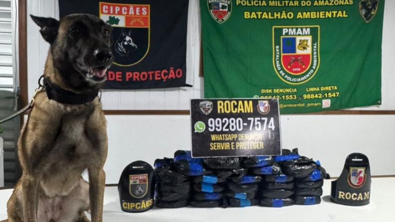 Polícia apreende 26 kg de cocaína em embarcação no Amazonas