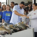 Distribuição de 470 toneladas de pescado alcança milhares de famílias no Amazonas