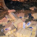 Fiscalização sanitária descarta toneladas de queijo fora da validade em Manaus