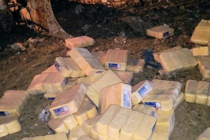 Fiscalização sanitária descarta toneladas de queijo fora da validade em Manaus