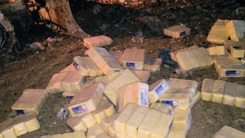 Fiscalização sanitária descarta toneladas de queijo fora da validade em Manaus