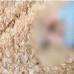 Homem é encontrado morto em estrada rural de Tabatinga