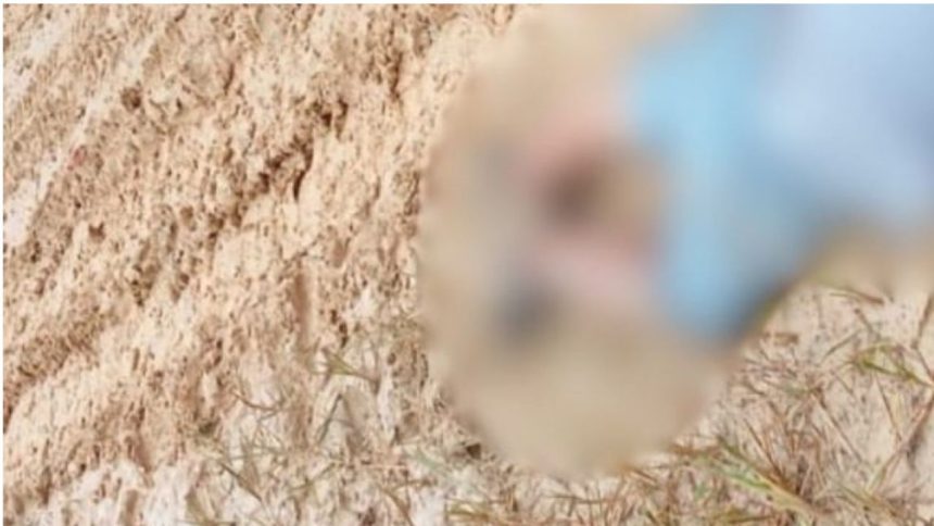 Homem é encontrado morto em estrada rural de Tabatinga