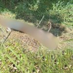 Corpo de homem é encontrado com pés amarrados em terreno no Distrito Industrial