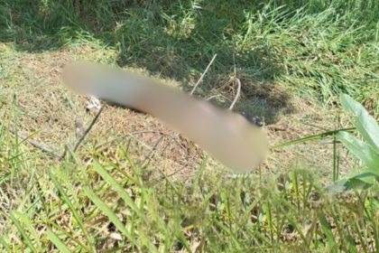 Corpo de homem é encontrado com pés amarrados em terreno no Distrito Industrial