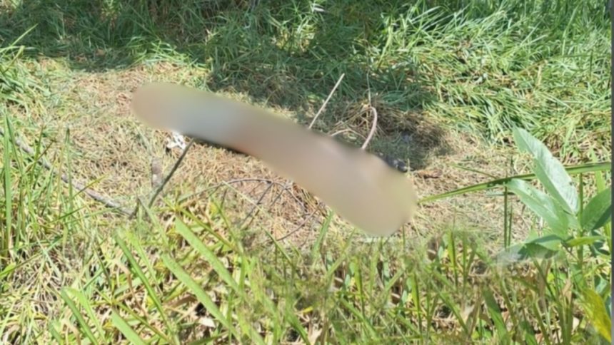 Corpo de homem é encontrado com pés amarrados em terreno no Distrito Industrial