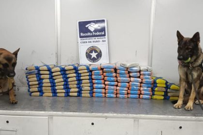 Maconha é encontrada em carga de polpa de açaí no Aeroporto de Manaus