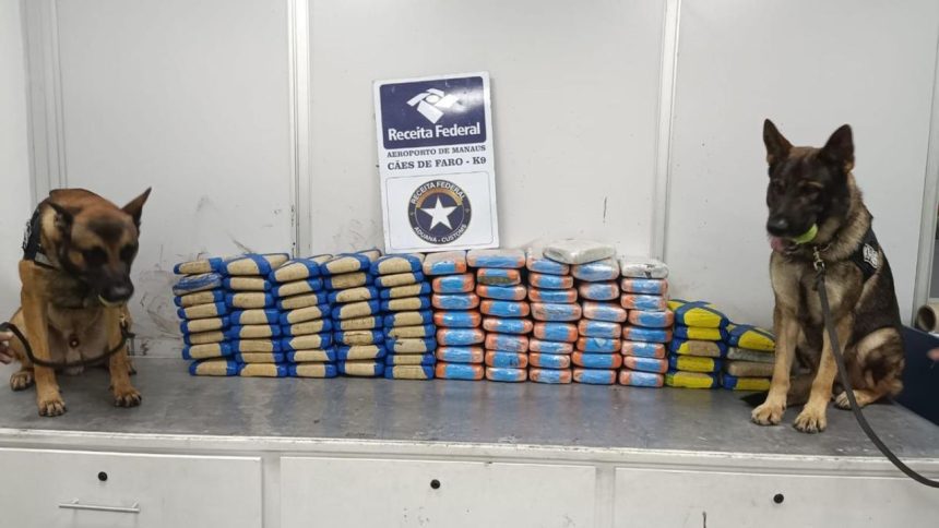 Maconha é encontrada em carga de polpa de açaí no Aeroporto de Manaus