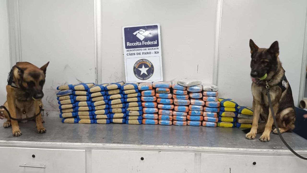 Maconha é encontrada em carga de polpa de açaí no Aeroporto de Manaus