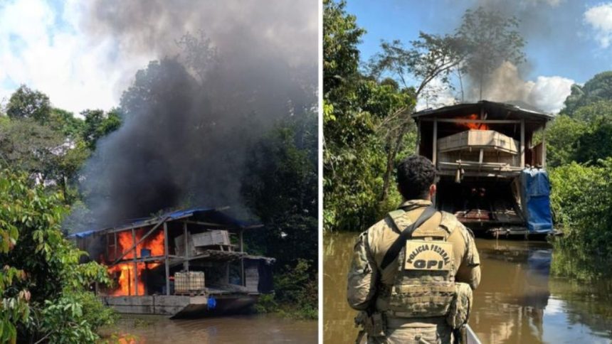 Operação no Amazonas retira dragas e interrompe garimpo ilegal no Rio Jandiatuba