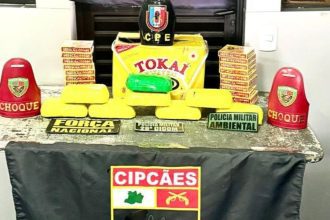 Em duas ações distintas, polícia apreende 18 tabletes de entorpecentes no Amazonas