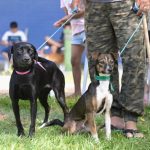 Castramóvel leva agendamento gratuito ao bairro Coroado