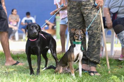 Castramóvel leva agendamento gratuito ao bairro Coroado