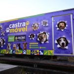 Castramóvel abre agendamento para castrar cães e gatos