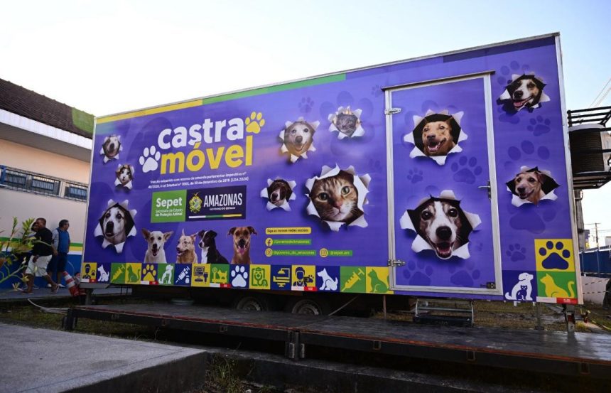 Castramóvel abre agendamento para castrar cães e gatos