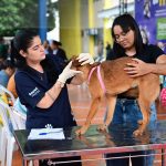 Educandos recebe agendamento para castração de cães e gatos