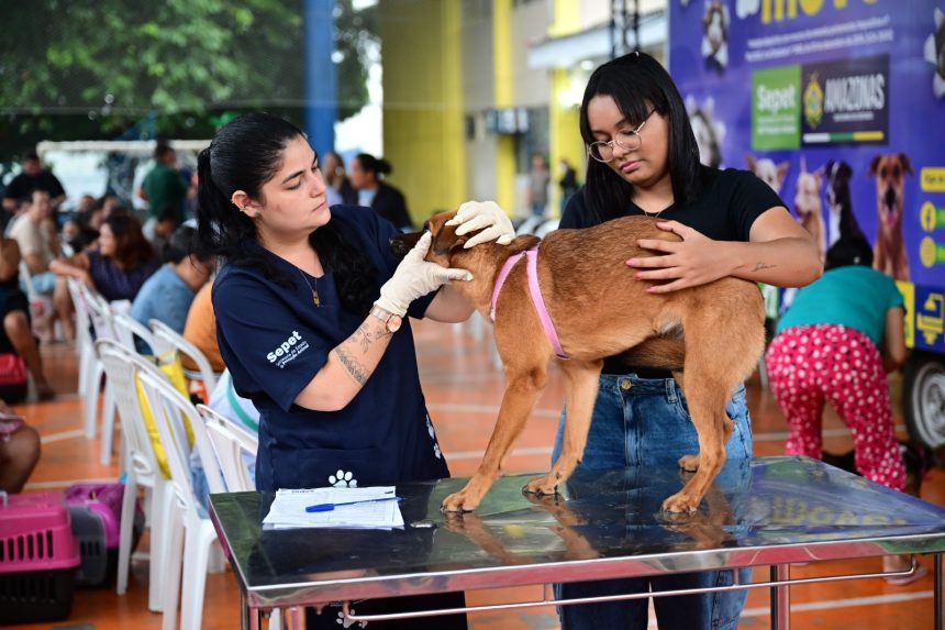 Educandos recebe agendamento para castração de cães e gatos