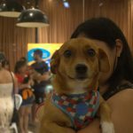 Castramóvel leva castração, vacina e adoção ao Jorge Teixeira