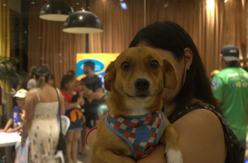 Castramóvel leva castração, vacina e adoção ao Jorge Teixeira