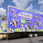 Presidente Figueiredo terá agendamento para castração gratuita