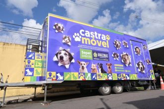 Presidente Figueiredo terá agendamento para castração gratuita