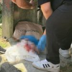 Cena de crime com recém-nascida em sacolas e pessoas no local, imagem borrada para preservar detalhes.