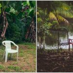 Duas cenas: cadeiras plásticas em um jardim e cadeiras coloridas à beira de um lago, com um cachorro.