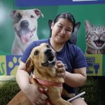 Meu Pet Amazonas: app permite agendar castrações e denúncias