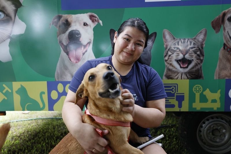 Meu Pet Amazonas: app permite agendar castrações e denúncias