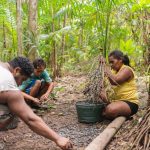 Edital vai financiar projetos que transformem a Amazônia Legal