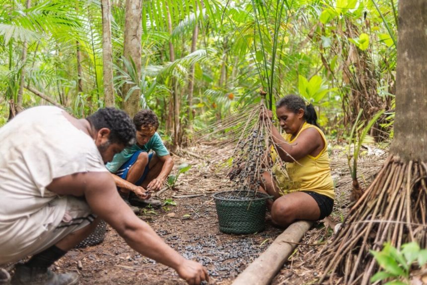 Edital vai financiar projetos que transformem a Amazônia Legal