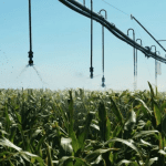 Senar Amazonas lança websérie para orientar produtores rurais