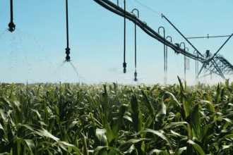 Senar Amazonas lança websérie para orientar produtores rurais