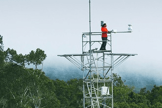 Inscrições no doutorado do Inpa e UEA encerram na sexta-feira