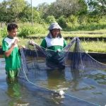IFAM abre seleção para cursos de Aquicultura em Alvarães e Tefé
